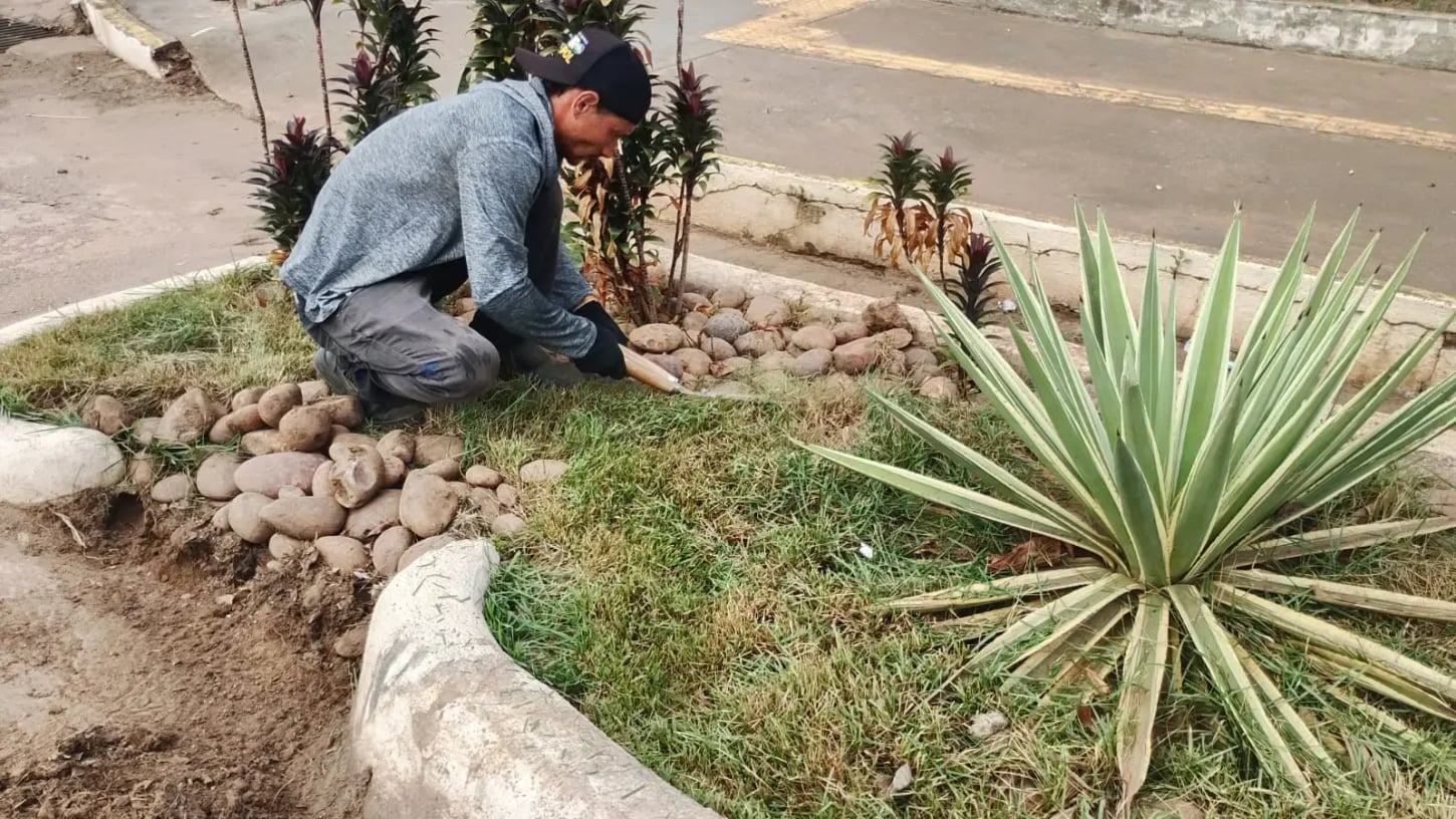Início de manutenção dos jardins de chuva em Porto Velho
