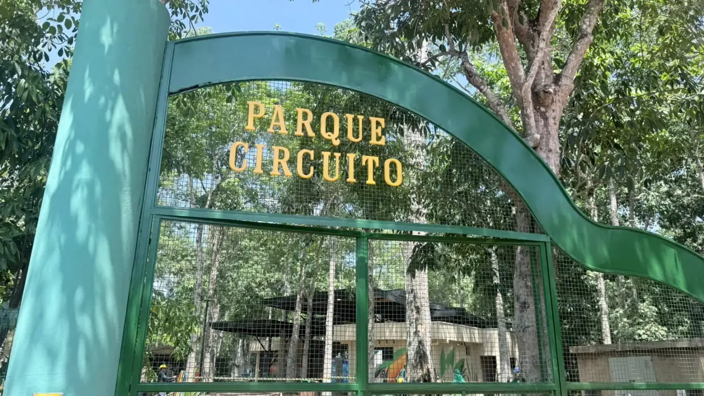 Parque Circuito reabre suas portas com novas atrações e foco na educação ambiental