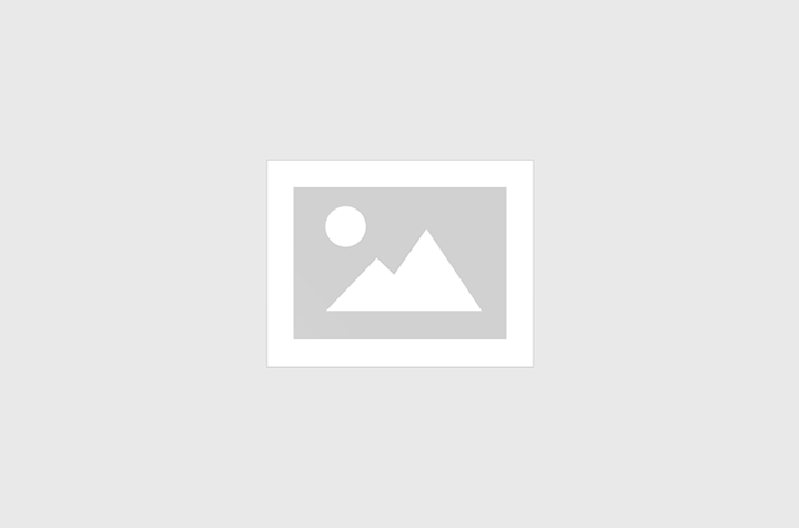 Portal SEMEC Digital centraliza serviços tributários em um único local