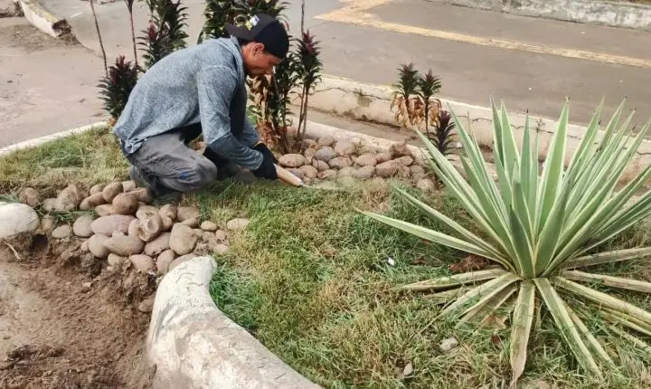 Início de manutenção dos jardins de chuva em Porto Velho