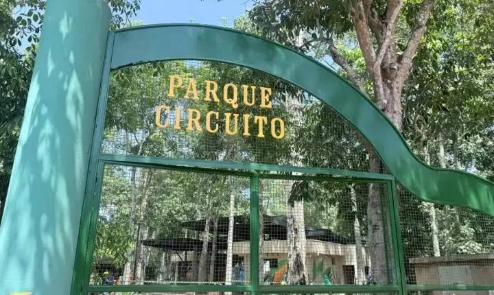 Parque Circuito reabre suas portas com novas atrações e foco na educação ambiental