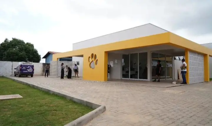Porto Velho se destaca na causa animal com a Clínica de Bem-Estar Animal