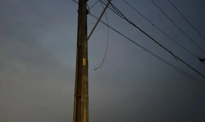 Vereador Edimilson Dourado pede poda preventiva de árvores na Zona Sul para evitar quedas e interrupções no fornecimento de energia